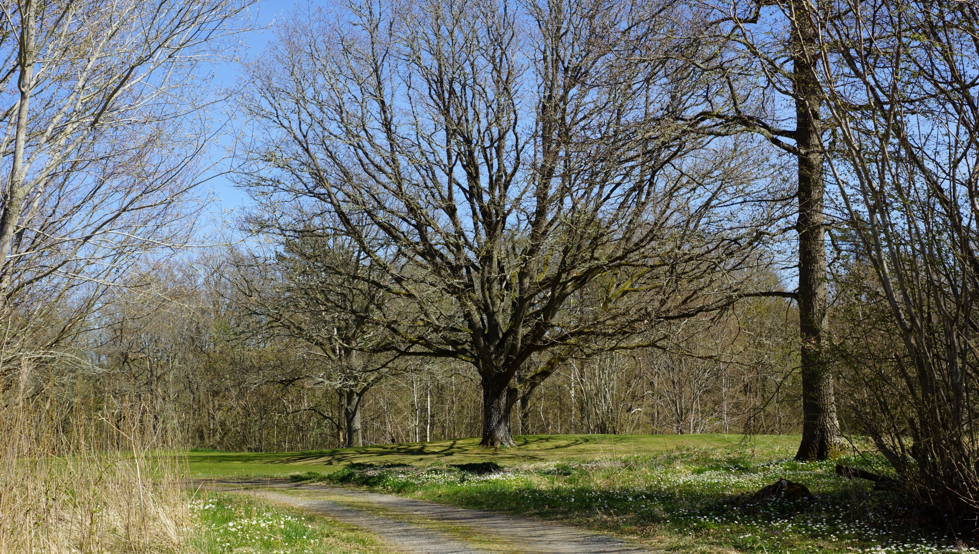 DSC00017